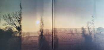 2LP Dot Allison: Heart-Shaped Scars