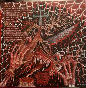 LP Dripping Decay: Festering Grotesqueries CLR | LTD