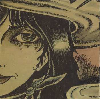 CD Drive-By Truckers: The Fine Print (A Collection Of Oddities And Rarities) 2003-2008