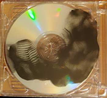 CD Drose: Boy Man Machine+