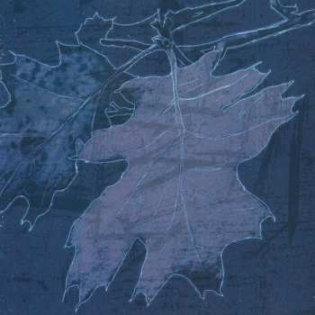 CD Drudkh: Вічний Оберт Колеса (Eternal Turn Of The Wheel)