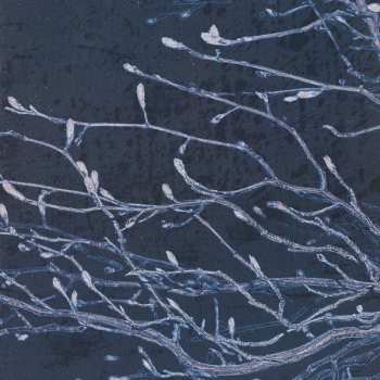 CD Drudkh: Вічний Оберт Колеса (Eternal Turn Of The Wheel)