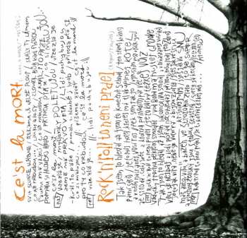 CD Krucipüsk: Druide!