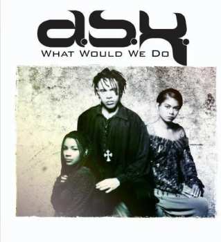 CD DSK: What Would We Do
