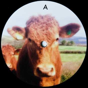 2LP Dub Dynasty: Holy Cow