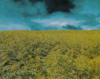 CD Dubblestandart: Marijuana Dreams