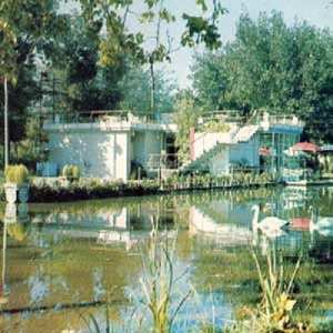 Album Ducktails: III: Arcade Dynamics