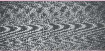 CD Dum Dum Girls: Only In Dreams