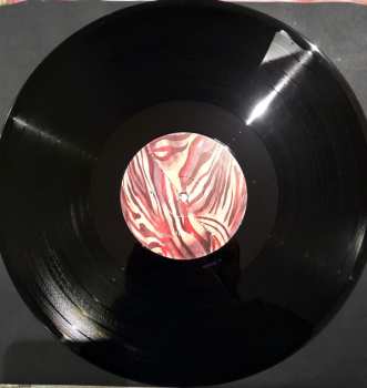 LP Duma: Duma LTD