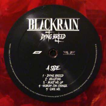 LP/CD Blackrain: Dying Breed LTD | CLR