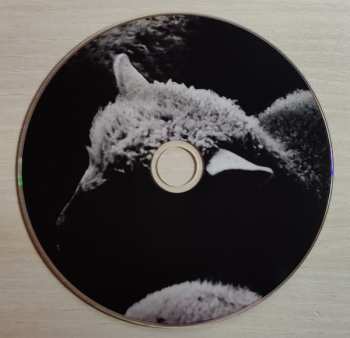 CD EA80: Mehr Schreie...