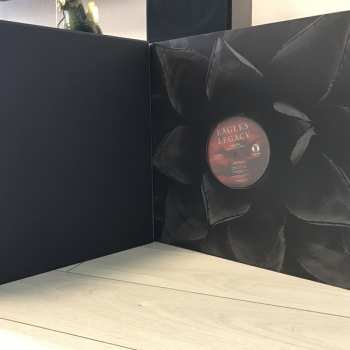 15LP/Zestaw pudełkowy Eagles: Legacy The Eagles