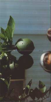 CD Early Day Miners: Offshore