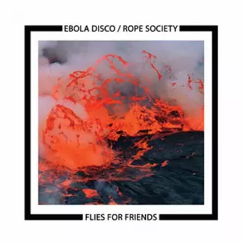 Ebola Disco: Flies For Friends