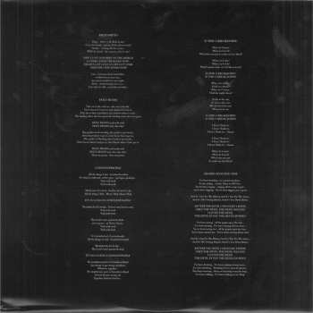 2LP/CD Echo & The Bunnymen: Meteorites