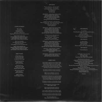 2LP/CD Echo & The Bunnymen: Meteorites