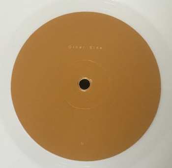 LP Editors: In Dream CLR