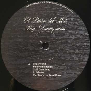 LP El Perro Del Mar: Big Anonymous
