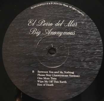 LP El Perro Del Mar: Big Anonymous