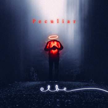 CD Elbe: Peculiar DIGI