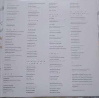 LP Electric Litany: Under A Common Sky