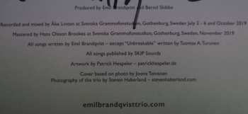 LP Emil Brandqvist Trio: Entering The Woods