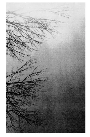 Enhet För Fri Musik: Inom Dig, Inom Mig