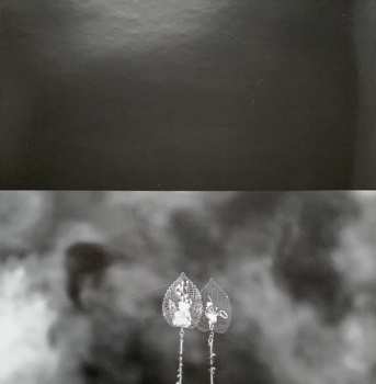 2LP Enrico Sangiuliano: Biomorph