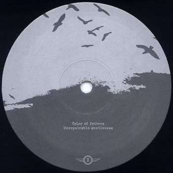 2LP Envy: A Dead Sinking Story