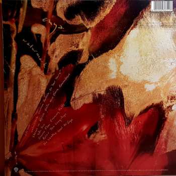 LP Enya: Watermark