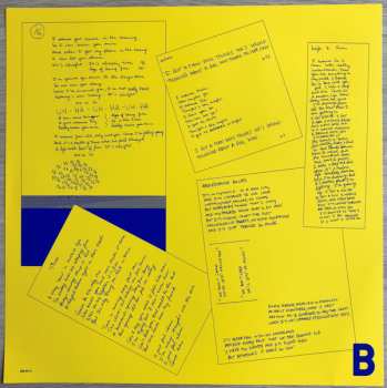 LP Equal Idiots: Adolescence Blues Community  CLR