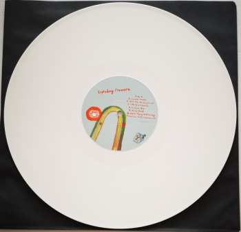 LP Exploding Flowers: Watermelon/Peacock CLR