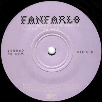 SP Fanfarlo: Record Store Day