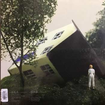 LP Fenne Lily: Big Picture LTD | CLR