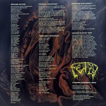 LP Fetid: Steeping Corporeal Mess
