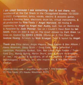 CD Fire-Toolz: I Am Upset Because I See Something That Is Not There.