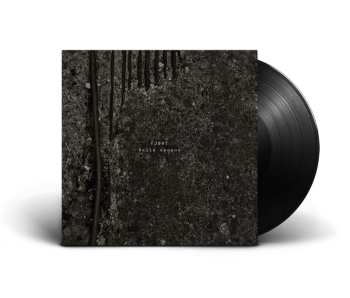 LP FJØRT: Belle Époque