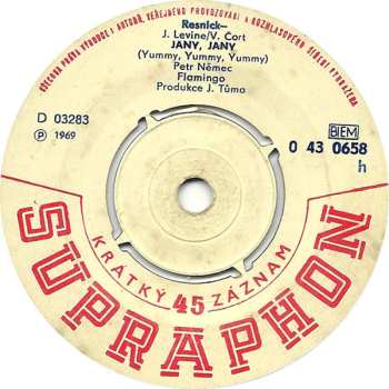 SP Flamingo: Hey, Jude / Jany, Jany