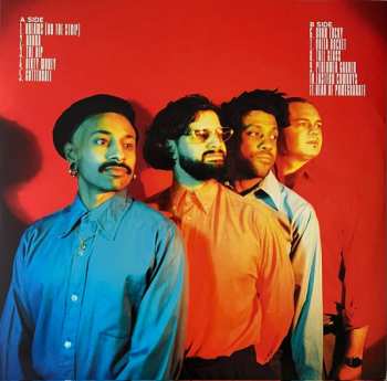 LP Flamingods: Head Of Pomegranate