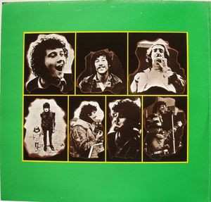2LP Fleetwood Mac: The Golden Era Of Pop Music