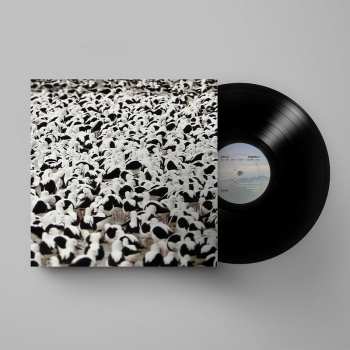 LP Stella Donnelly: Flood
