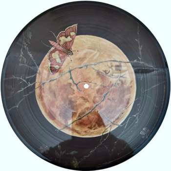 2LP Florence And The Machine: Dance Fever PIC | LTD