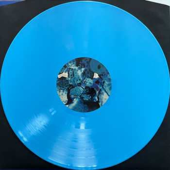 LP Foals: Total Life Forever CLR