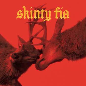 LP Fontaines D.C.: Skinty Fia CLR | LTD