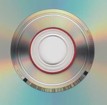 DVD Foo Fighters: Hyde Park