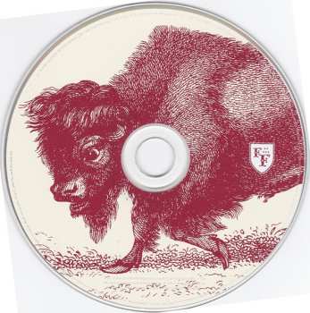 2CD Foo Fighters: In Your Honor