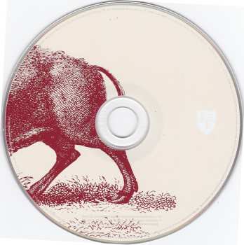 2CD Foo Fighters: In Your Honor