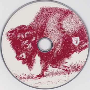 2CD Foo Fighters: In Your Honor