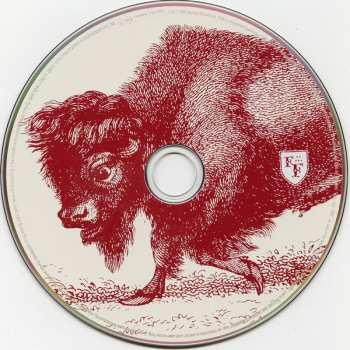 2CD Foo Fighters: In Your Honour