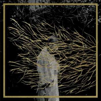 CD Forest Swords: Engravings (2025 Edition)